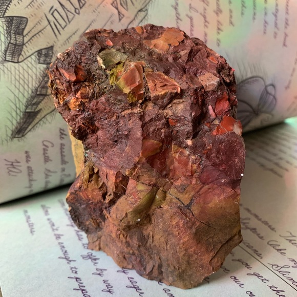 Beautiful piece of Petrified Redwood tree mineral stone display specimen - Picture 2 of 11